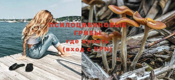 мет Алзамай